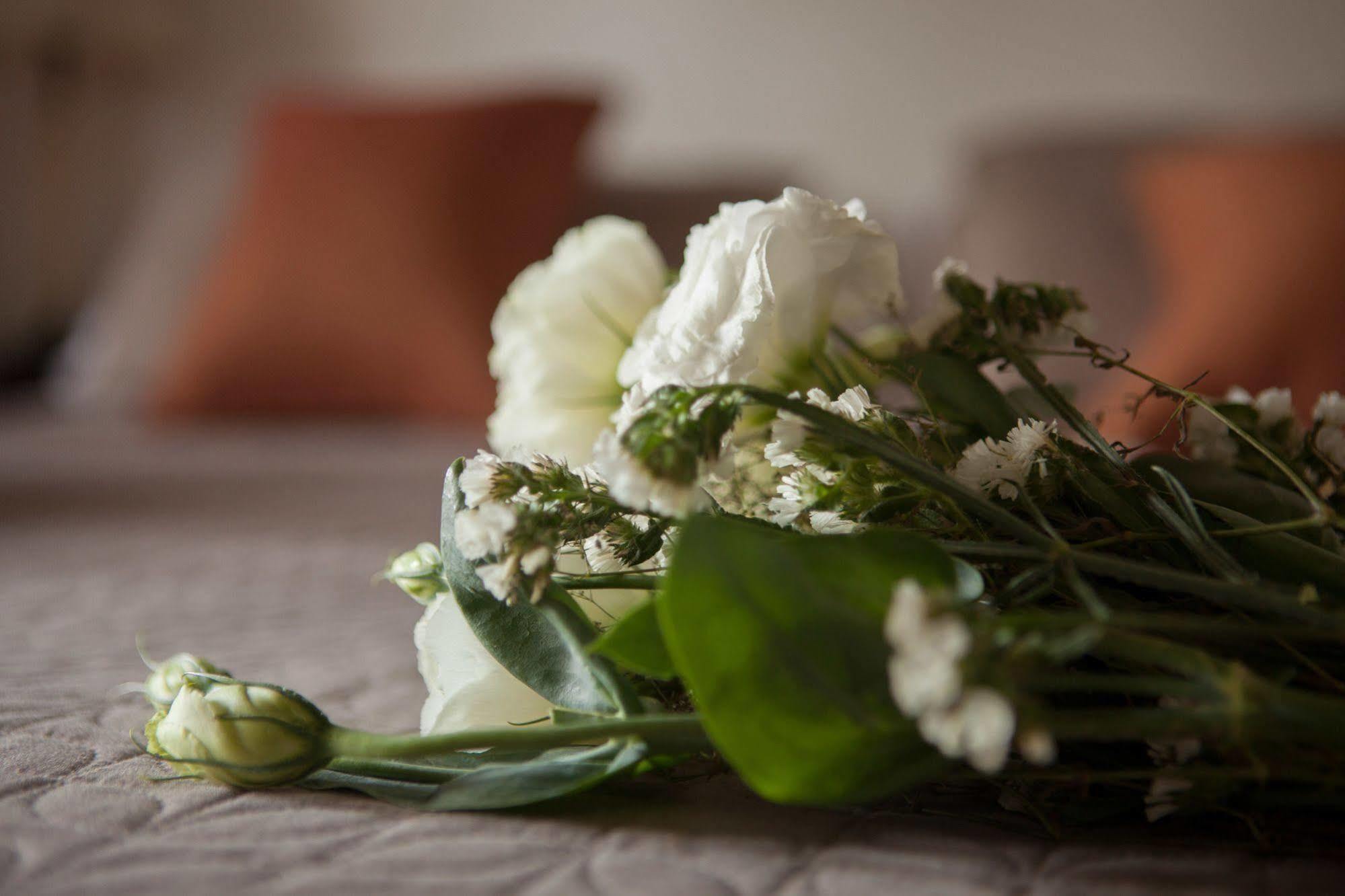 סן לורנצו Las Moras Hotel מראה חיצוני תמונה